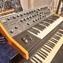 Moog Subsequent 37 Analog Synth 2017 - Present - Black