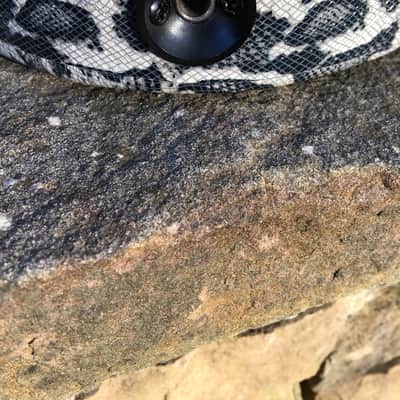 KnE Charvel Dinky Snakeskin image 8