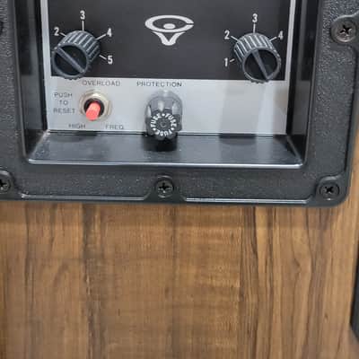 Cerwin-Vega D9 Walnut Bild 3