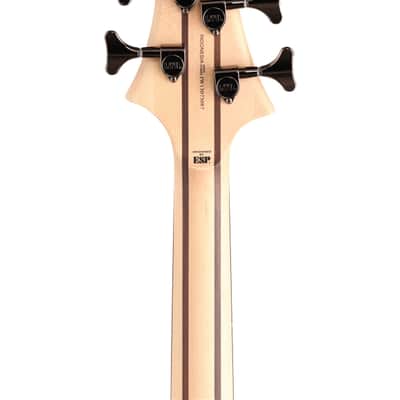 ESP LTD B204 Fretless Electric Bass Guitar Natural Satin image 7