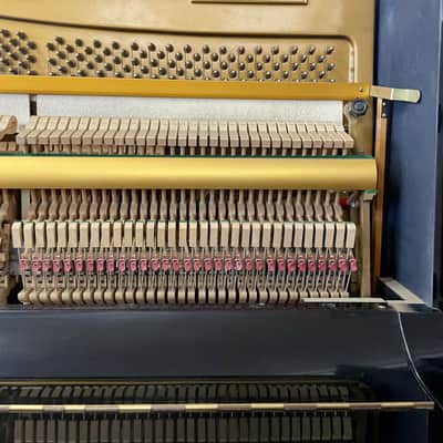 Apollo A6 PIANOFORTE VERTICALE NERO image 6