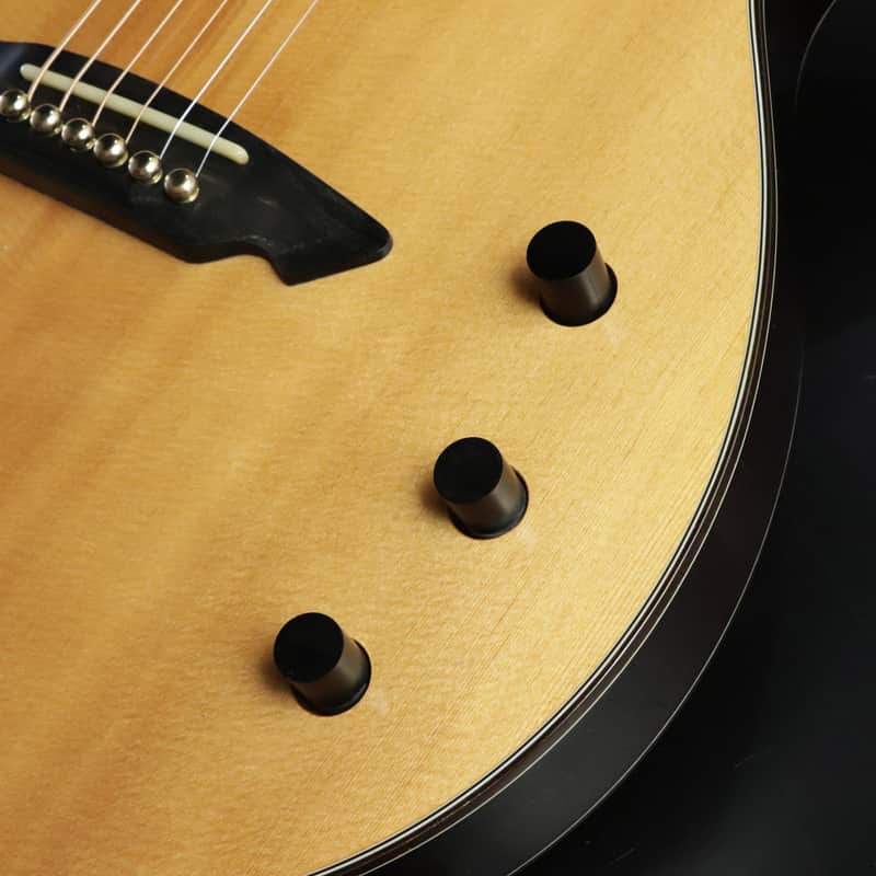 Aria Custom Shop NXP-03 エレアコ Aria Custom Shop NXP-03: Real