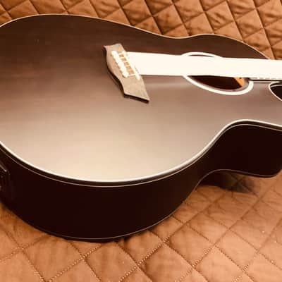Washburn DFEACE Deep Forest Ebony Ace Stripe Wood Mahogany Neck 6-String Acoustic-Electric Guitar image 14