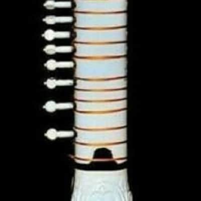 Handmade  Electric Sitar Tun Wood Hand Paint  Indian Musical String  Travel  With Fiber Case image 5