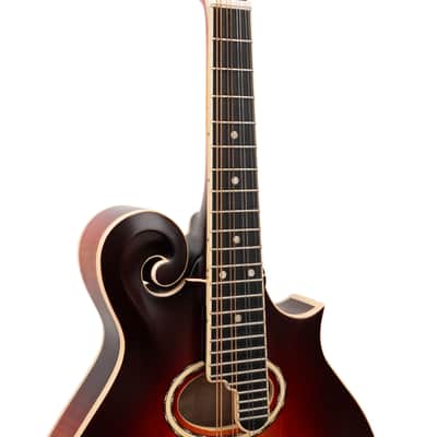 Gold Tone GM-80: F-Style Mandolin with Case image 5