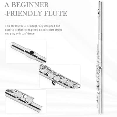 Nickel-plated C Flutes, Closed Hole 16Keys Flute for Beginner Student, Flute Instrument with Cleaning Kit, Carrying Case, Gloves, Tuning Rod image 2