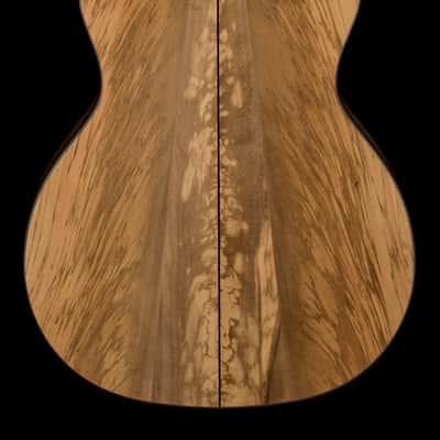 Taylor 814ce Special Edition Sassafras #26004 image 2