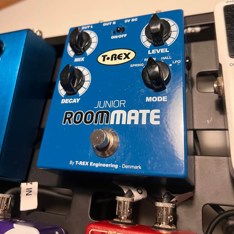 2014 T-Rex Roommate Junior Blue