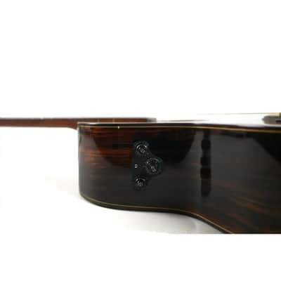 Willow Creek FX-PG73 Ebony Deluxe Acoustic Grand Auditorium Guitar w/ Effects image 4