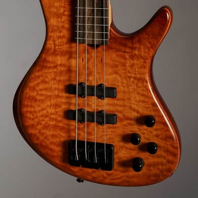 Roscoe Century Standard Plus Fretless image 3