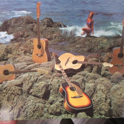 Fender Musical Instruments Mini Full Line Color Catalog RARE ! 1968 image 9