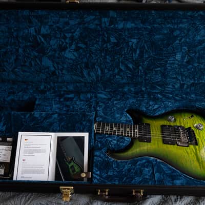 PRS Custom 24 Floyd Wood Library image 7