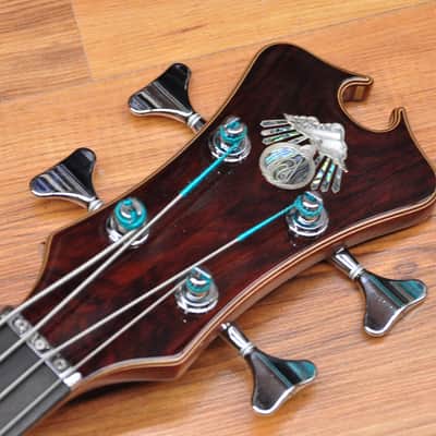 Alembic Series II Omega Shape 2018 image 10
