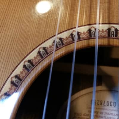 Fender GN-45-SCE-NAT 2003 Natural Nylon String Acoustic Electric image 23