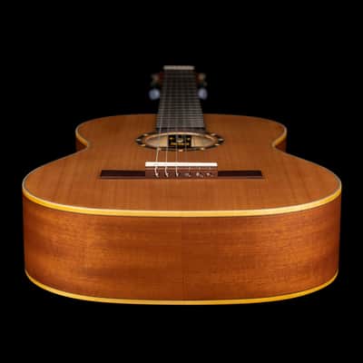 Ortega R122-7/8 Family Series Cedar Top Mahogany Neck 7/8-Size Nylon 6-String Classical Acoustic Guitar w/Gig Bag image 11