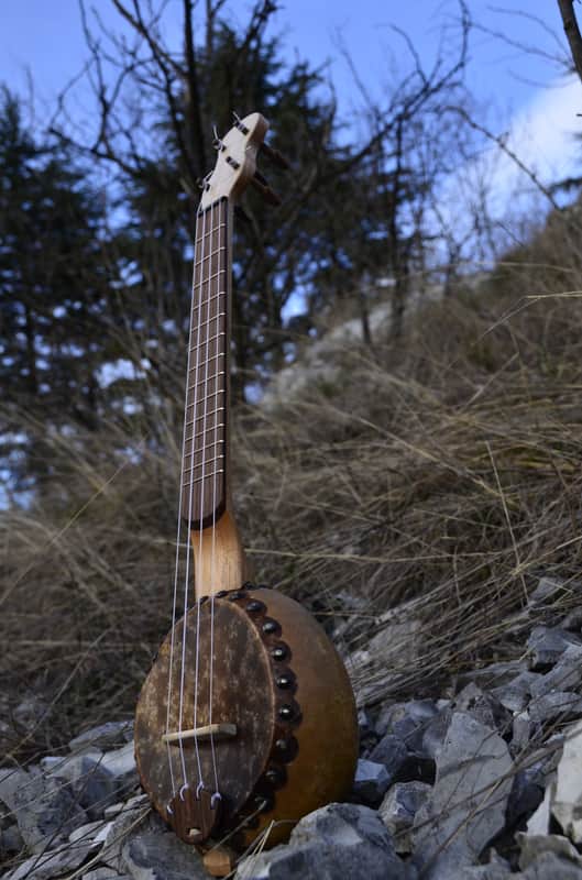 Waiz Gourd Ukulele 2022 image 1