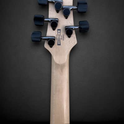 Ibanez GWB 35 Gary Willis Signature Fretless 5 2010s - Matte Black image 11
