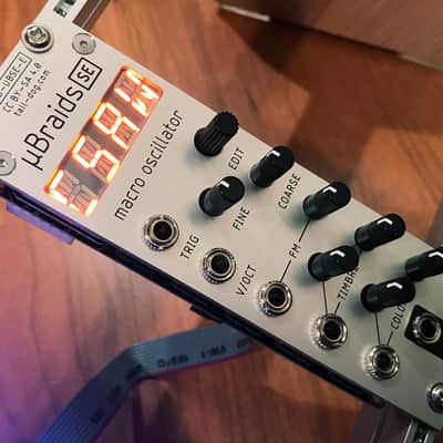 Tall Dog µBraids SE (uBraids, microBraids) Eurorack [Rev F, Silver] image 1