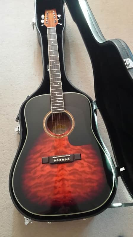 Washburn D10 QSB Acoustic Guitar + Original Hardcase. Stunning. image 1