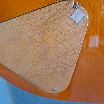 Juicy guitars Santana tribute 2024 - Amber image 4