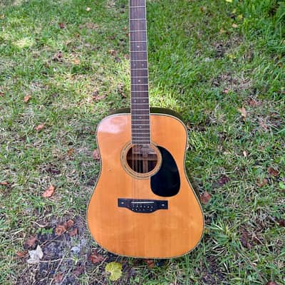 1970s Fender F-80-12 12 String Acoustic image 1