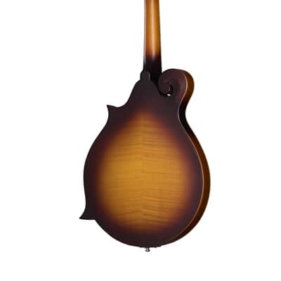 Epiphone F-5 Studio Mandolin w/Gig-Bag - Vintage Sunburst - Clearance image 3