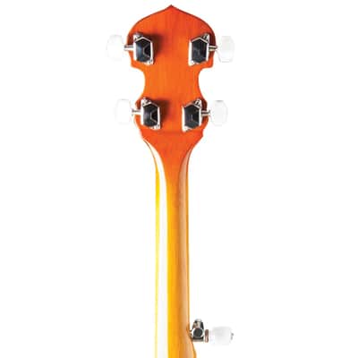 Washburn B10 5-String Banjo image 6