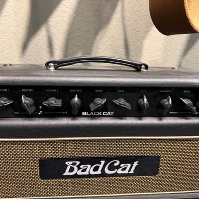 Bad Cat Black Cat 2022 - Black image 2