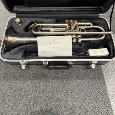 Blessing BTR 1287S 2023 - Silver image 1