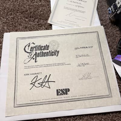 ESP 2021 Custom Shop KH2 Mirror - Black image 14