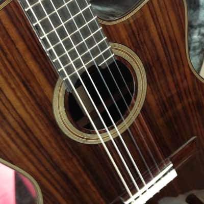 Cordoba Fusion 14 Rose w/ Solid Rosewood Top - Fishman Presys Preamp - Tuner & Premium Gigbag #25295 image 4