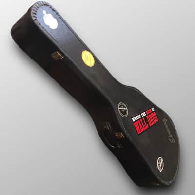 Custom Guitar Case Bluetooth Speaker – 30W amplifier with Audio Exciter image 2