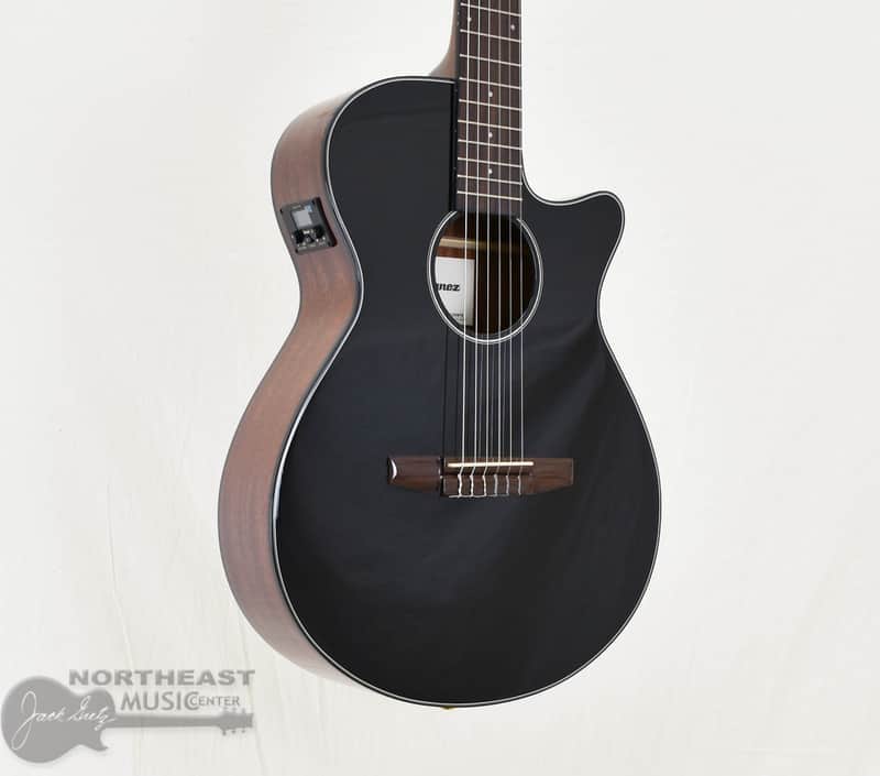 Ibanez AEG50NBKH Acoustic/Electric Nylon (s/n: 0678) image 1