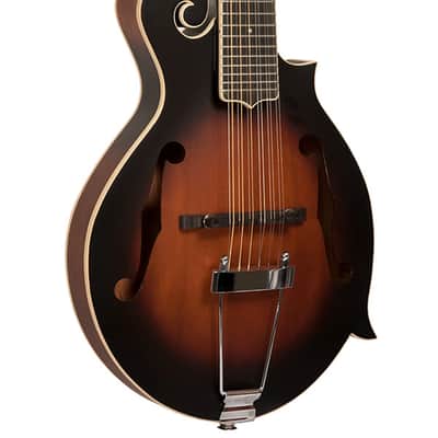 GOLD TONE F-12 F-style 12-string acoustic electric mandolin GUITAR new w/ CASE image 2