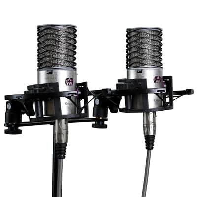 Aston Microphones Origin Large-Diaphragm Cardioid Condenser Microphone (Stereo Pair) image 1