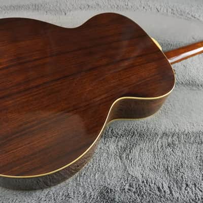Aria Elecord FE-60 w/ Built-In Electronics w/ Hard Case image 15