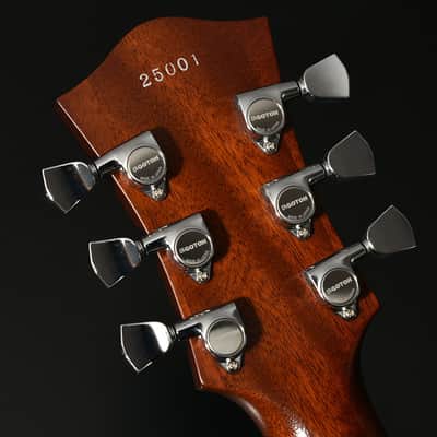 Bacchus Handmade Duke “Year of the Snake” Champagne Gold Patina (Master Luthier Build) image 5