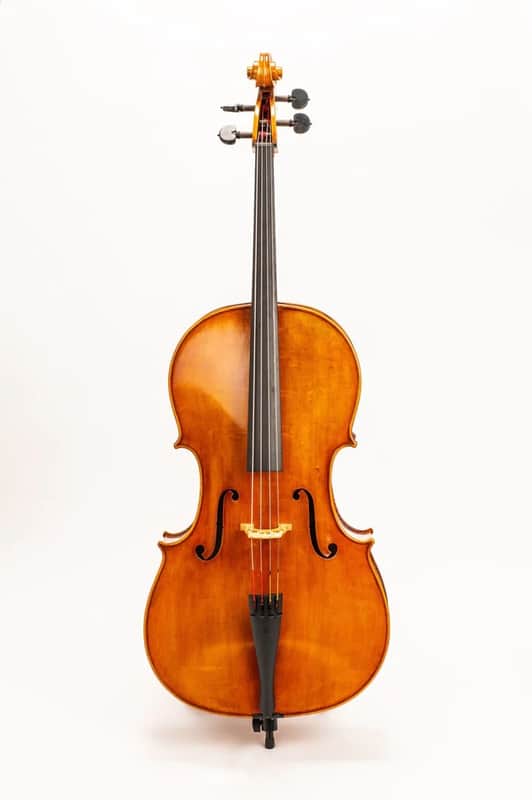 D Z Strad  Cello Model 800 w/ Case & Bow image 1