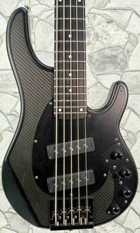 Alusonic Django 5 String Bass Guitar image 1