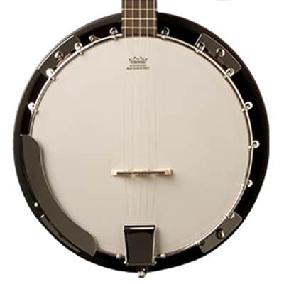 Washburn B8 Pack | Americana Series (5 String) Banjo Pack, Natural. New with Full Warranty! image 4