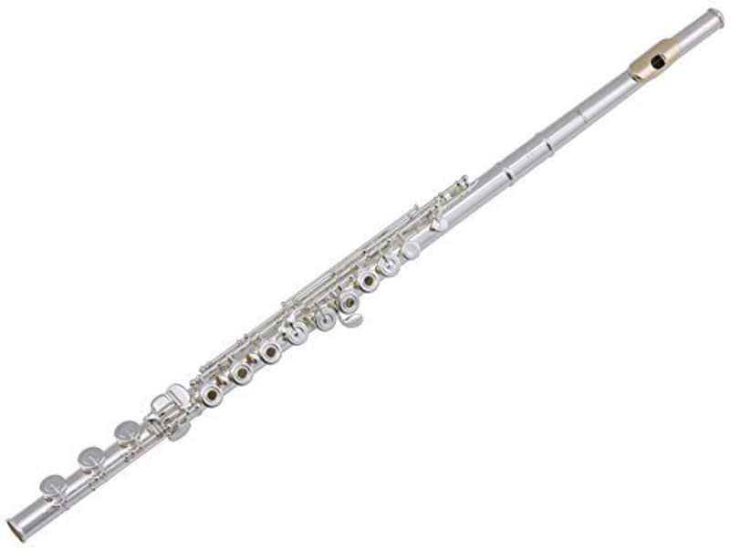Pearl Vigore 695 Dolce Vigore Open Hole B Foot Split E Flute, C (695RBEVGR)