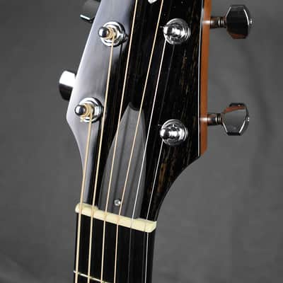 2010 Breedlove Special Edition Focus D image 4