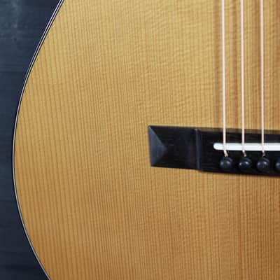 Eastman E10P-TC Thermo-Cure Parlor Guitar Mahogany / Adirondack image 17