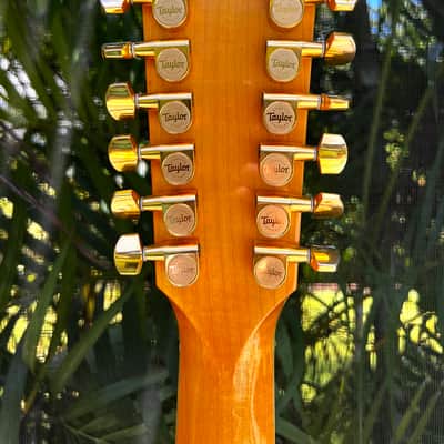 Taylor 655ce (2004 w ES1 Pickup) with Extras imagen 5