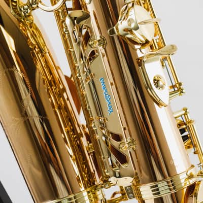 Yanagisawa AWO2 Professional Model Bronze Alto Saxophone image 9