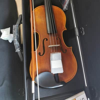 Stentor SR1880OFTA Violin 4/4, Handmade ProSeries Arcadia, Fernambuk Bogen, DeLuxe Case Polycarbonat image 3