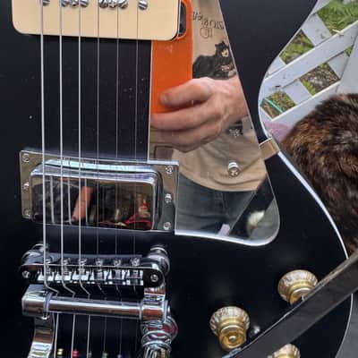 Firefly Neil Young FFSP 2026 upgraded tuners, trem spring image 4