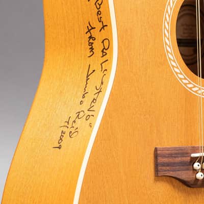 Godin Art & Lutherie 12 String Wild Cherry 1994, Natural image 4