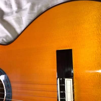 Amalio Burguet Flamenco Guitar "Negra" one piece Indian Rosewood back and sides. 2017 Flamenco Oran image 6