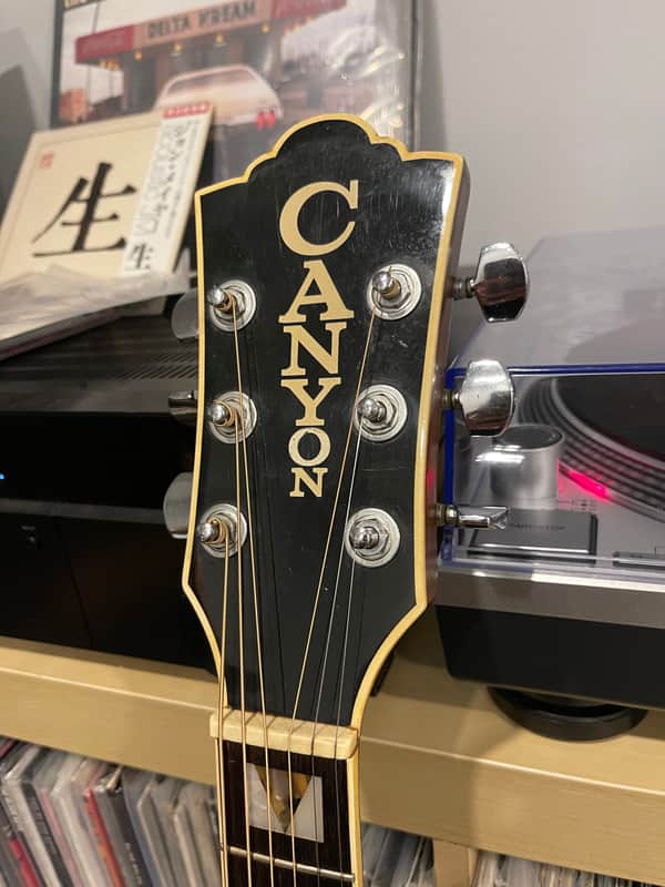 Canyon W-60 acoustic guitar guild D-55 | Reverb
